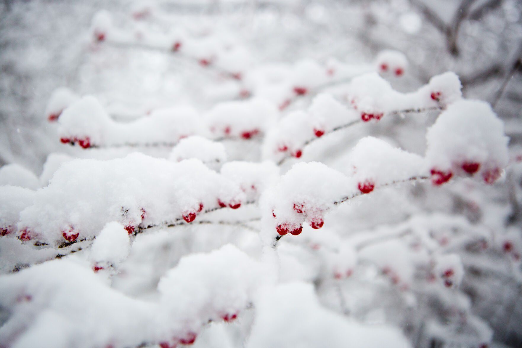 Roanoke Winter Weather